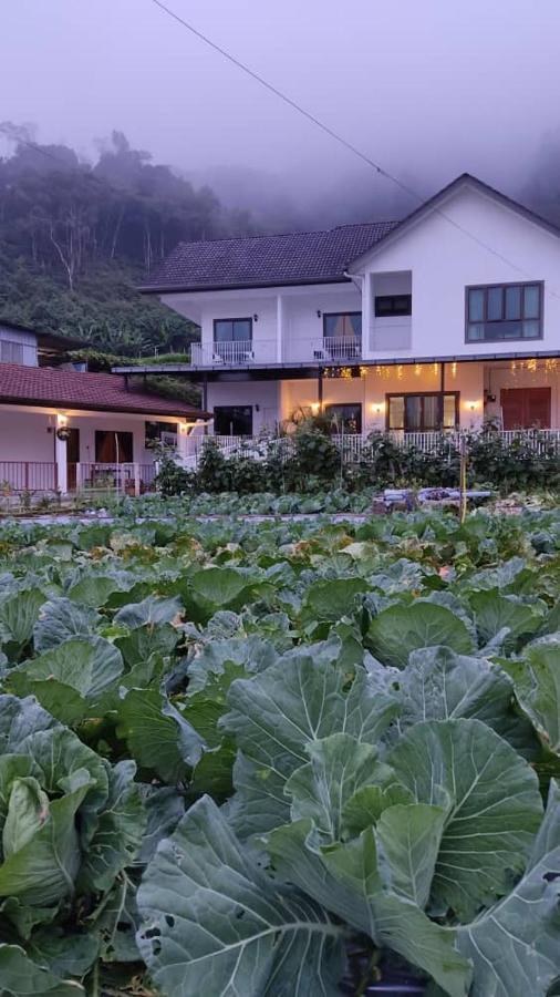 Ng Family'S Farm Stay Камерон-Гайлендс Екстер'єр фото