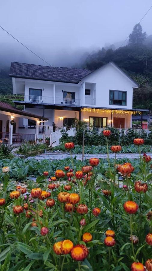 Ng Family'S Farm Stay Камерон-Гайлендс Екстер'єр фото
